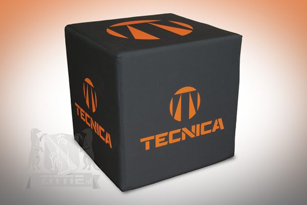 Tecnica_solo_logo